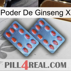 Ginseng Power X 05